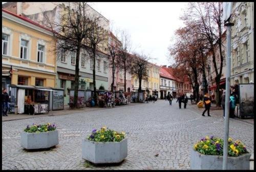 Pogo Hostel Vilnius Ngoại thất bức ảnh
